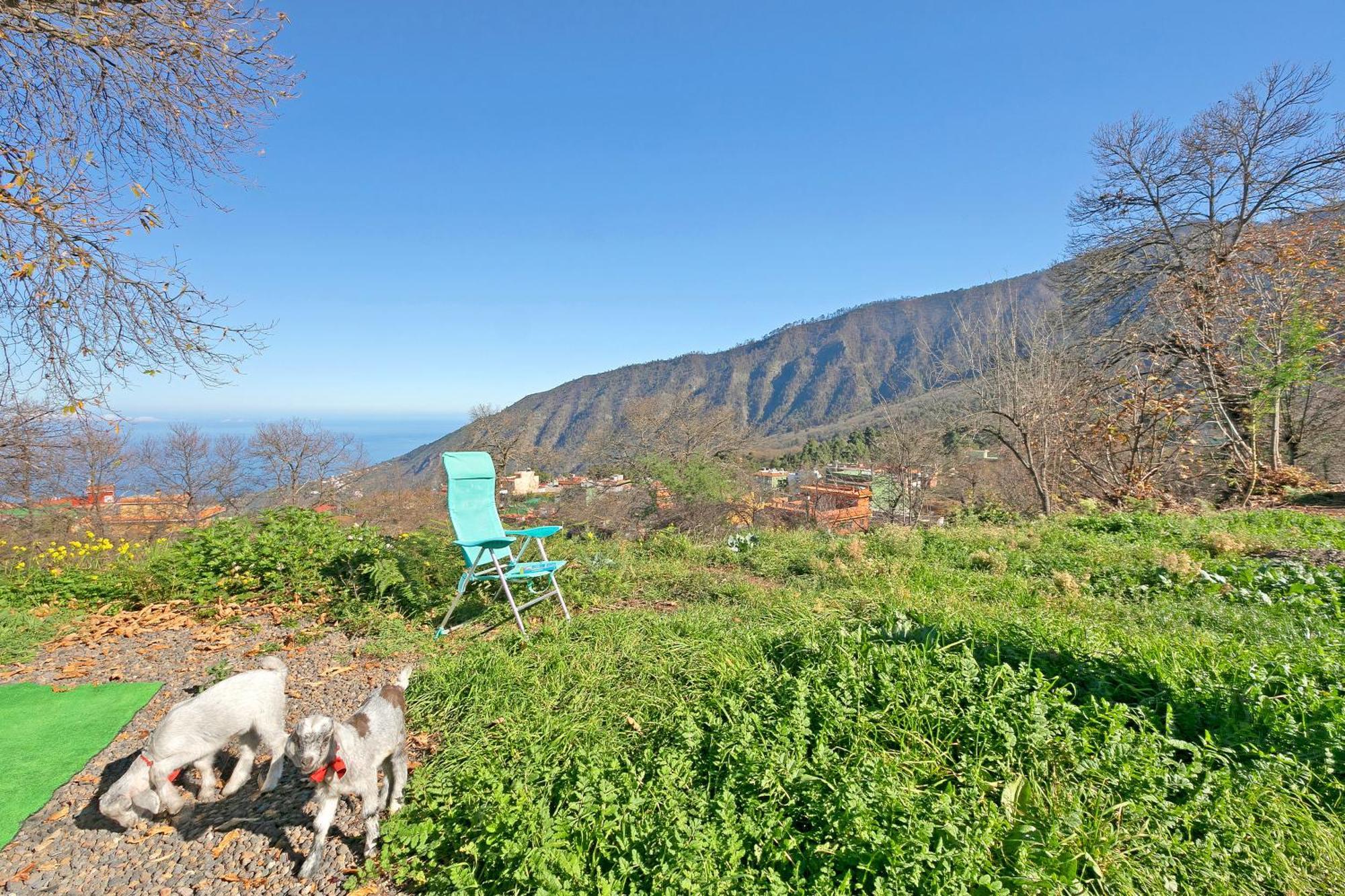 Aguamansa Relax Villa La Orotava Eksteriør billede